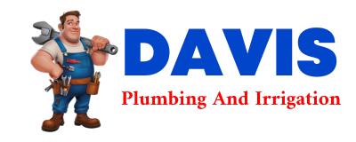 Trusted plumber in DEPORT